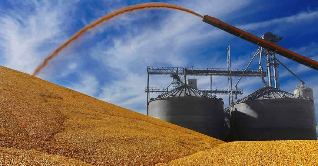 Пшеница взлетела в цене после остановки зерновой сделки