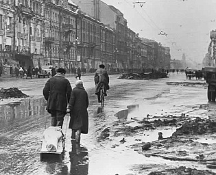  Прокурор: вместе с Германией в блокаде Ленинграда участвовали шесть стран