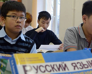  В Госдуме поддержали идею о квоте на школьников-иностранцев в классах